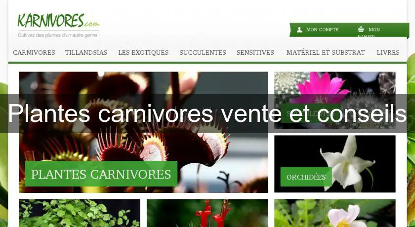 Plantes carnivores vente et conseils