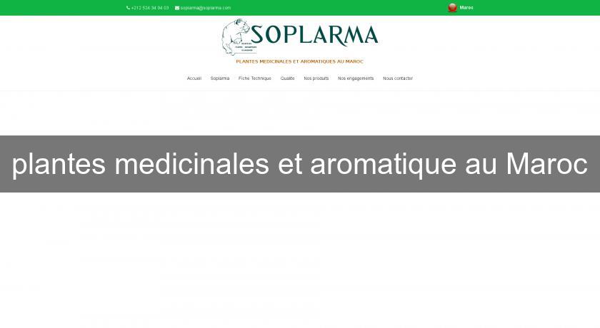 plantes medicinales et aromatique au Maroc plantes medicinales et aromatique au Maroc