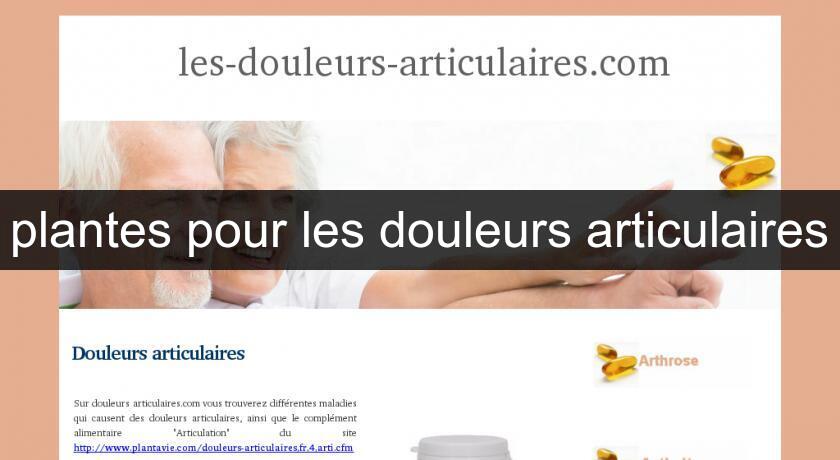 plantes pour les douleurs articulaires plantes pour les douleurs articulaires