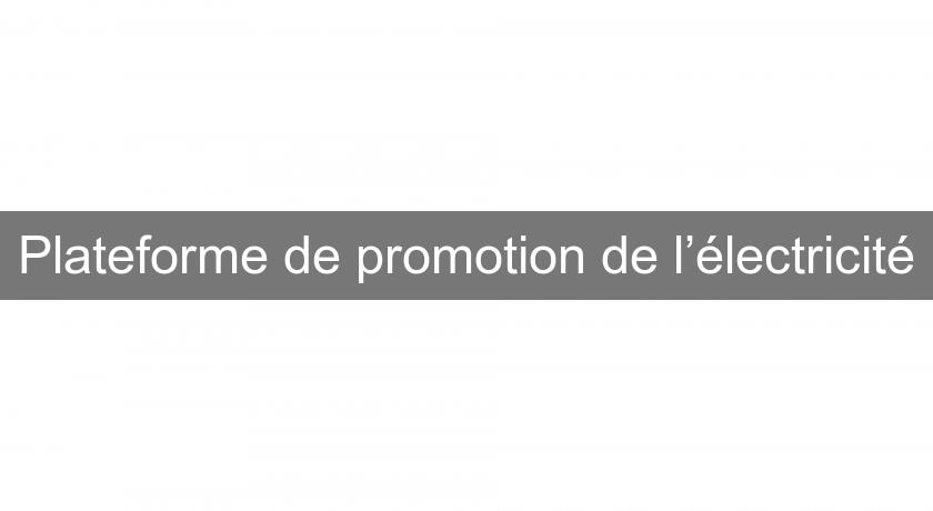 Plateforme de promotion de l’électricité Plateforme de promotion de l’électricité