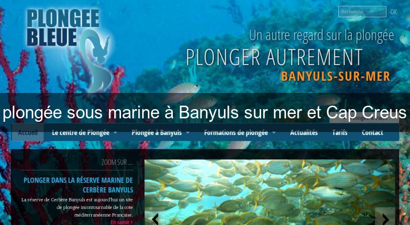 plongée sous marine à Banyuls sur mer et Cap Creus plongée sous marine à Banyuls sur mer et Cap Creus