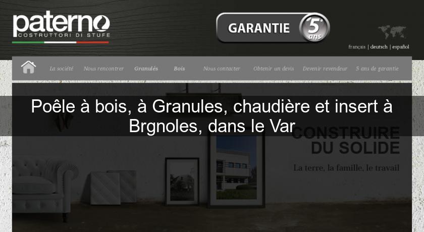 Poêle à bois, à Granules, chaudière et insert à Brgnoles Poêle à bois, à Granules, chaudière et insert à Brgnoles