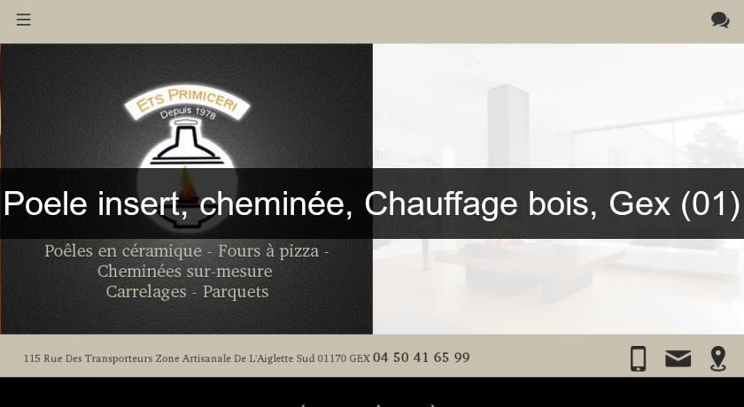 Poele insert, cheminée, Chauffage bois, Gex (01) Poele insert, cheminée, Chauffage bois, Gex (01)