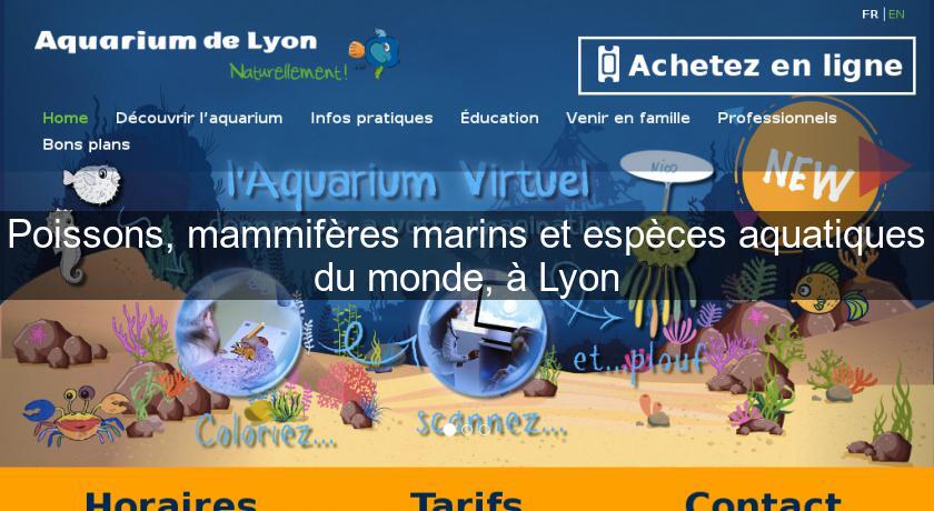 Poissons, mammifères marins et espèces aquatiques du monde, à Lyon Poissons, mammifères marins et espèces aquatiques du monde, à Lyon