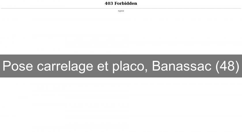 Pose carrelage et placo, Banassac (48) Pose carrelage et placo, Banassac (48)