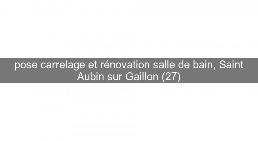 pose carrelage et rénovation salle de bain, Saint Aubin sur Gaillon (27)