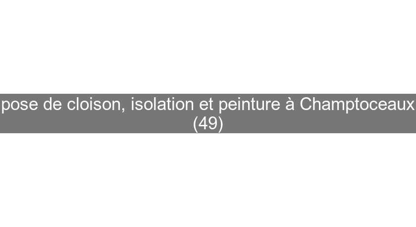 pose de cloison, isolation et peinture à Champtoceaux (49)