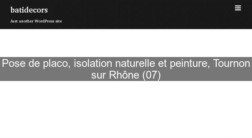 Pose de placo, isolation naturelle et peinture, Tournon sur Rhône (07)