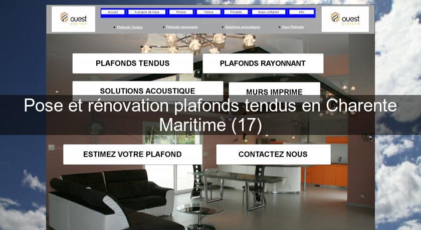 Pose et rénovation plafonds tendus en Charente Maritime (17) Pose et rénovation plafonds tendus en Charente Maritime (17)