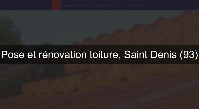 Pose et rénovation toiture, Saint Denis (93)