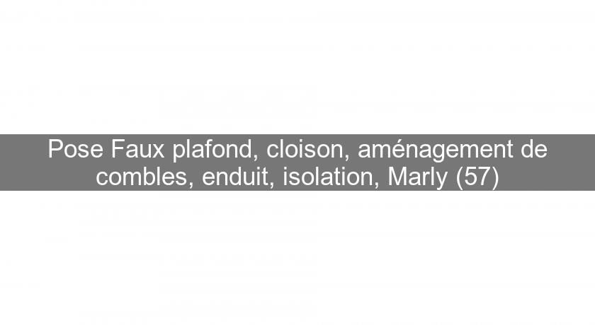 Pose Faux plafond, cloison, aménagement de combles, enduit, isolation, Marly (57)