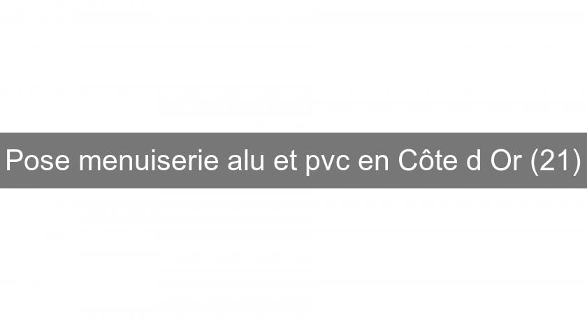 Pose menuiserie alu et pvc en Côte d'Or (21) Pose menuiserie alu et pvc en Côte d'Or (21)