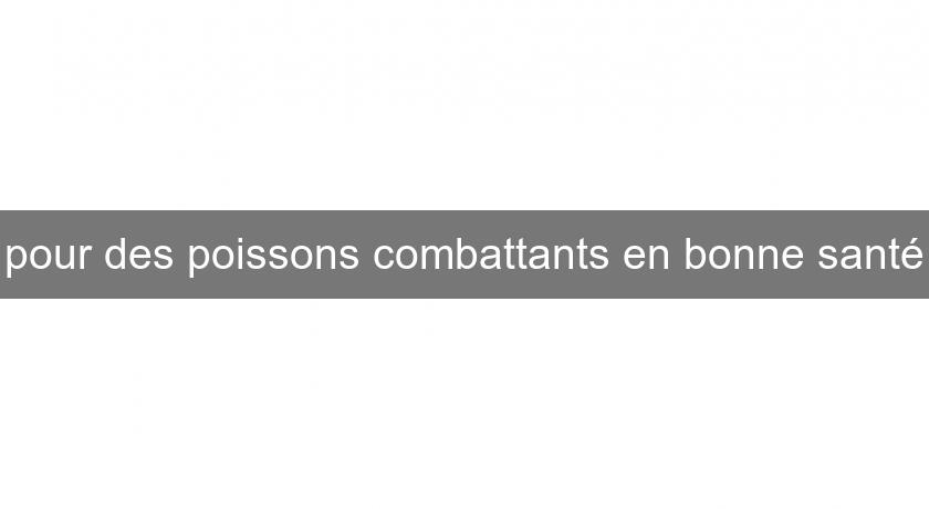 pour des poissons combattants en bonne santé pour des poissons combattants en bonne santé