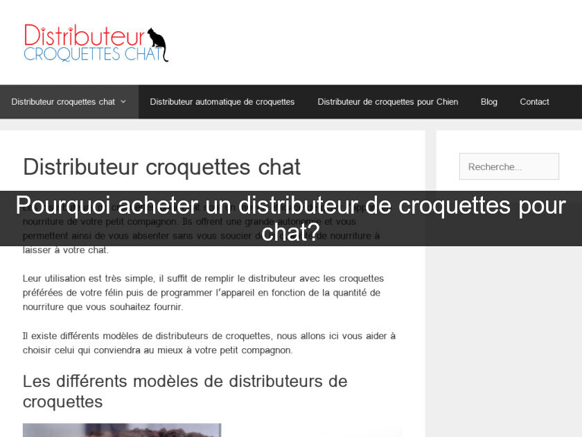 Pourquoi acheter un distributeur de croquettes pour chat?