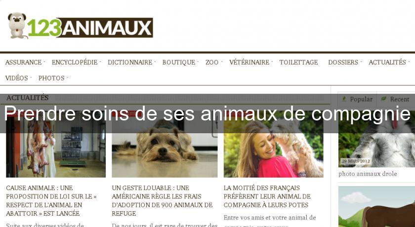 Prendre soins de ses animaux de compagnie Prendre soins de ses animaux de compagnie