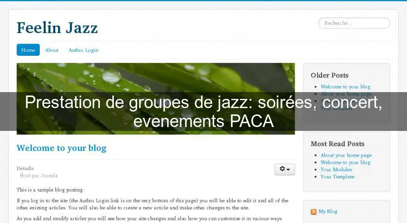 Prestation de groupes de jazz: soirées, concert, evenements PACA