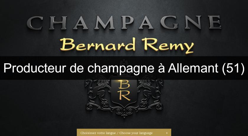 Producteur de champagne à Allemant (51)