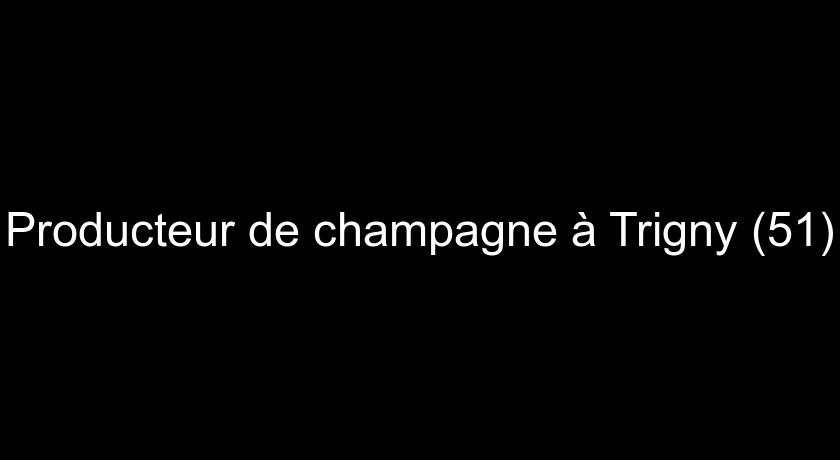 Producteur de champagne à Trigny (51)