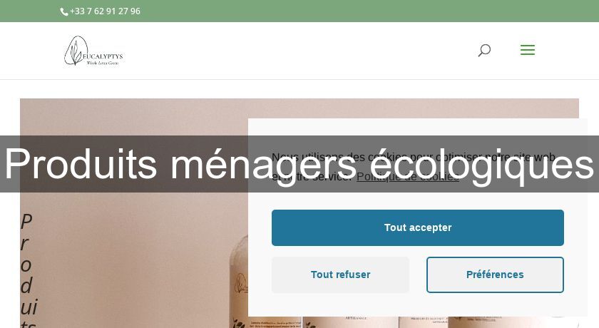 Produits ménagers écologiques Produits ménagers écologiques