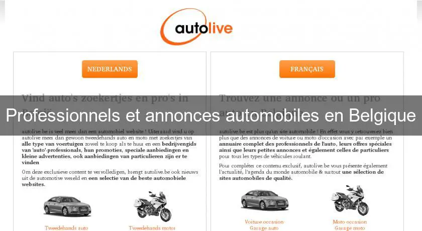 Professionnels et annonces automobiles en Belgique
