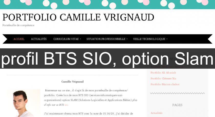 profil BTS SIO, option Slam profil BTS SIO, option Slam