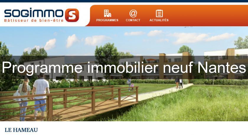 Programme immobilier neuf Nantes Programme immobilier neuf Nantes