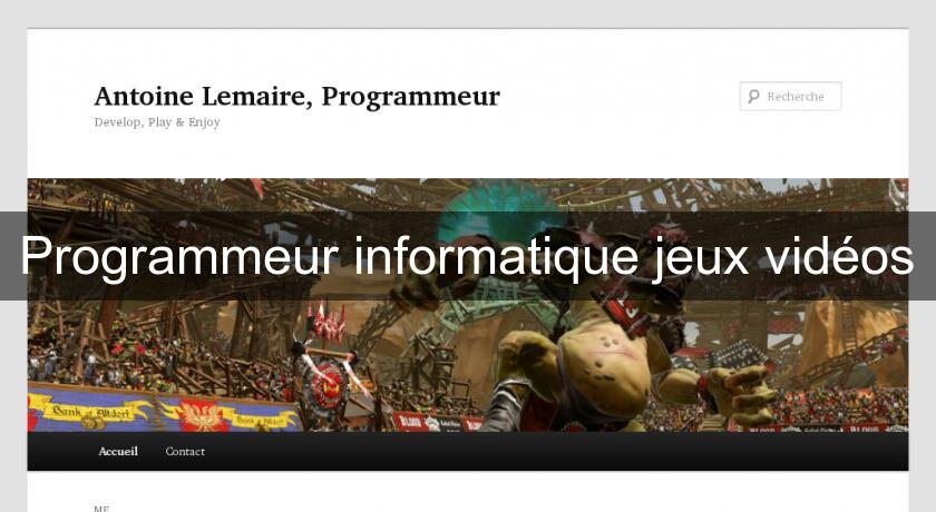 Programmeur informatique jeux vidéos Programmeur informatique jeux vidéos