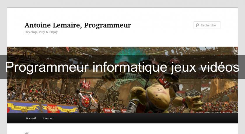 Programmeur informatique jeux vidéos