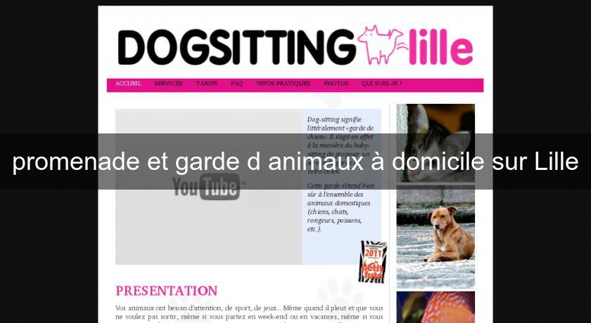 promenade et garde d'animaux à domicile sur Lille