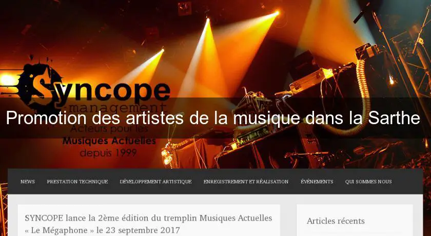 Promotion des artistes de la musique dans la Sarthe 