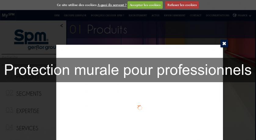 Protection murale pour professionnels Protection murale pour professionnels