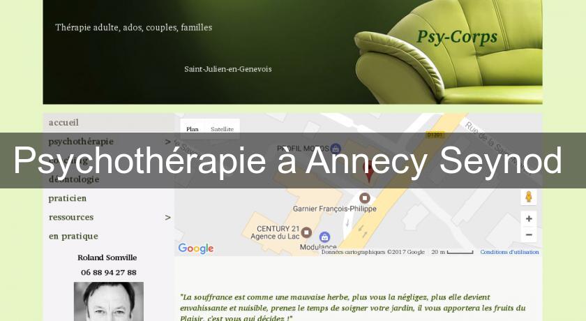Psychothérapie à Annecy Seynod Psychothérapie à Annecy Seynod