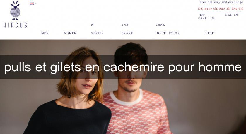 pulls et gilets en cachemire pour homme pulls et gilets en cachemire pour homme