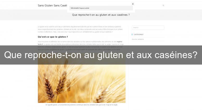 Que reproche-t-on au gluten et aux caséines? Que reproche-t-on au gluten et aux caséines?