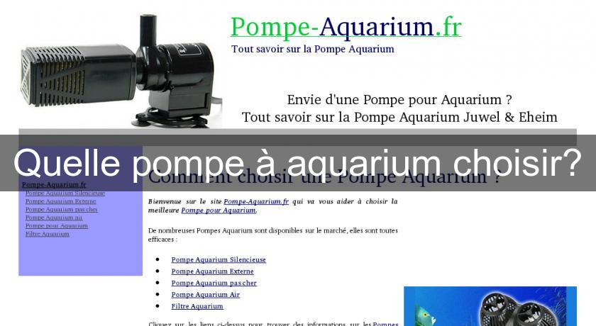 Quelle pompe à aquarium choisir? Quelle pompe à aquarium choisir?