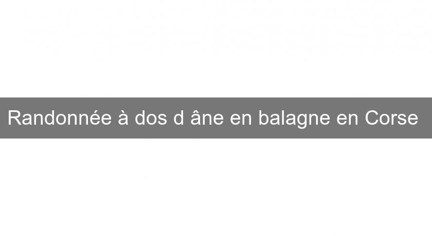 Randonnée à dos d'âne en balagne en Corse 