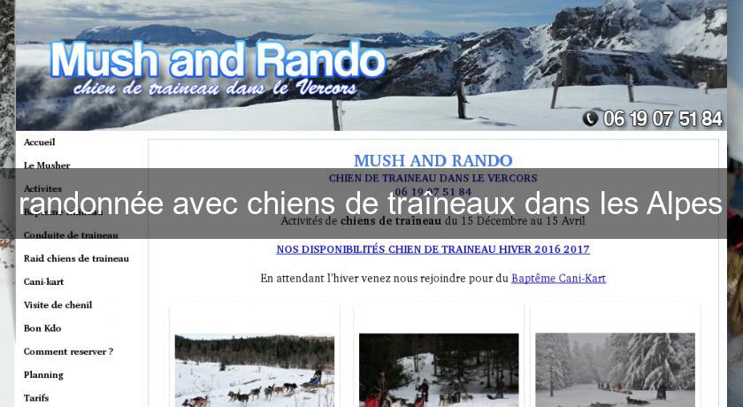 randonnée avec chiens de traîneaux dans les Alpes randonnée avec chiens de traîneaux dans les Alpes