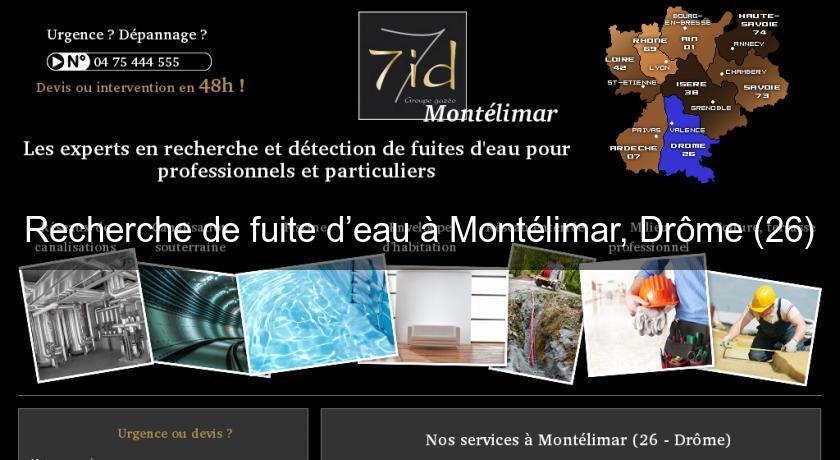 Recherche de fuite d’eau à Montélimar, Drôme (26) Recherche de fuite d’eau à Montélimar, Drôme (26)