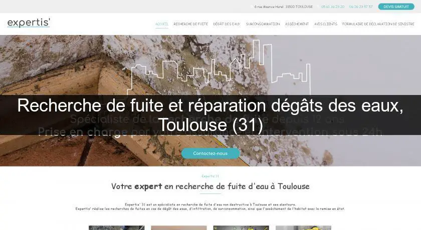Recherche de fuite et réparation dégâts des eaux, Toulouse (31)