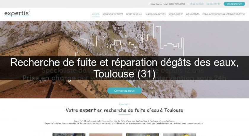Recherche de fuite et réparation dégâts des eaux, Toulouse (31) Recherche de fuite et réparation dégâts des eaux, Toulouse (31)