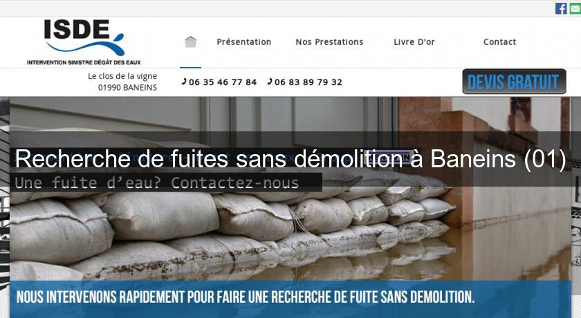 Recherche de fuites sans démolition à Baneins (01) Recherche de fuites sans démolition à Baneins (01)