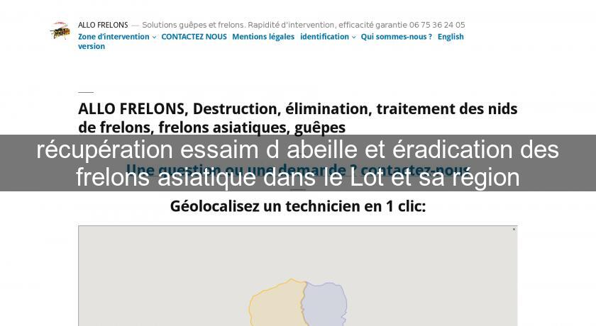 récupération essaim d'abeille et éradication des frelons asiatique dans le Lot et sa région