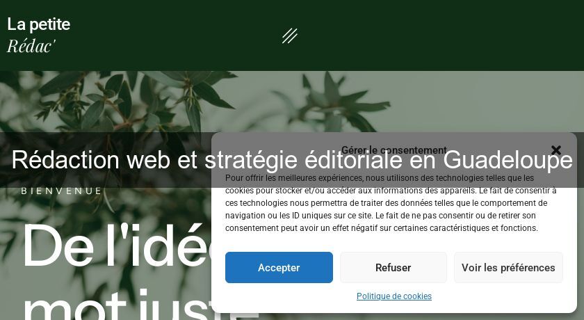 Rédaction web et stratégie éditoriale en Guadeloupe Rédaction web et stratégie éditoriale en Guadeloupe