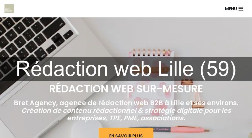 Rédaction web Lille (59) Rédaction web Lille (59)