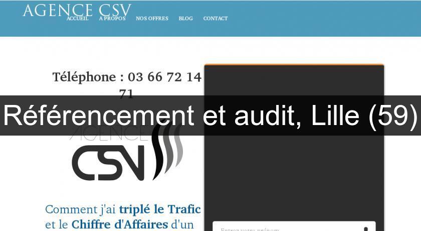Référencement et audit, Lille (59)