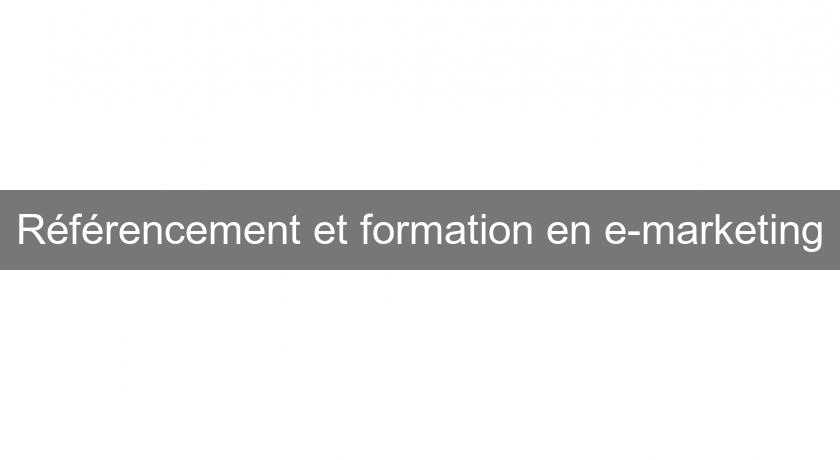 Référencement et formation en e-marketing