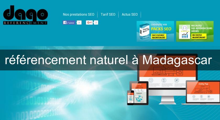 référencement naturel à Madagascar 