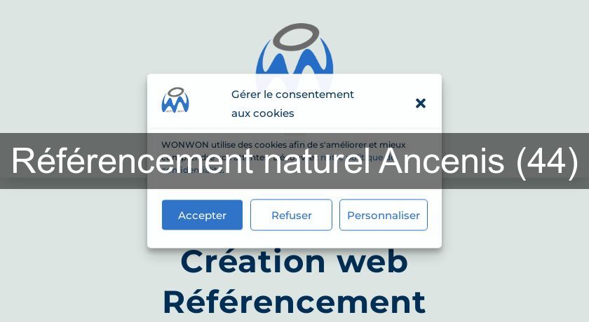 Référencement naturel Ancenis (44)