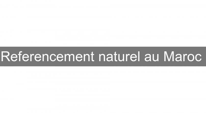 Referencement naturel au Maroc Referencement naturel au Maroc