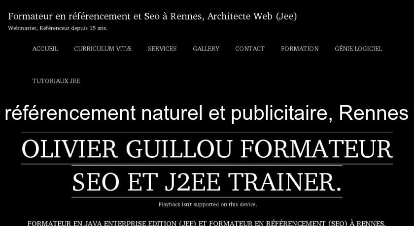 référencement naturel et publicitaire, Rennes